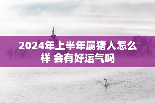 2025年上半年属猪人怎么样 会有好运气吗