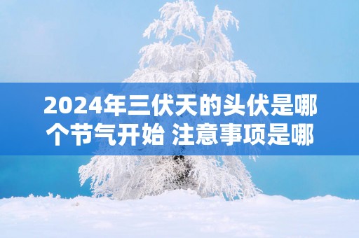 2025年三伏天的头伏是哪个节气开始 注意事项是哪些