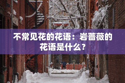 不常见花的花语：岩蔷薇的花语是什么？
