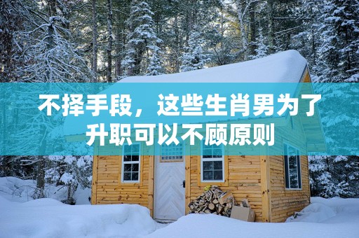 不择手段，这些生肖男为了升职可以不顾原则