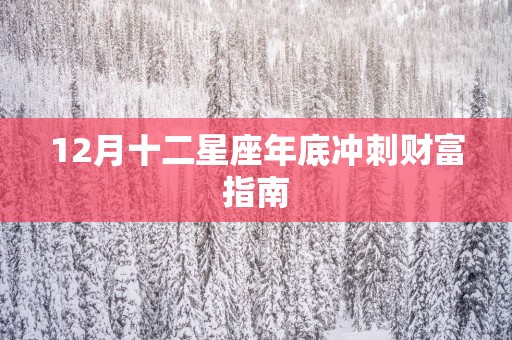12月十二星座年底冲刺财富指南