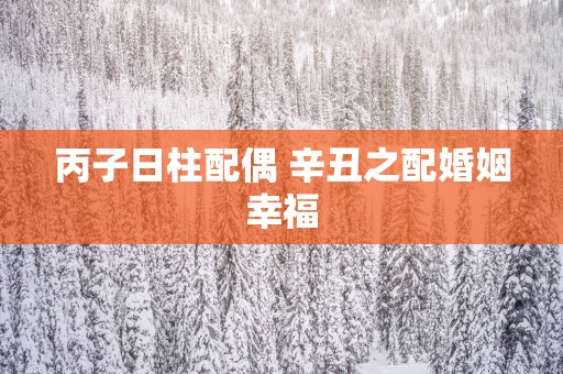 丙子日柱配偶 辛丑之配婚姻幸福