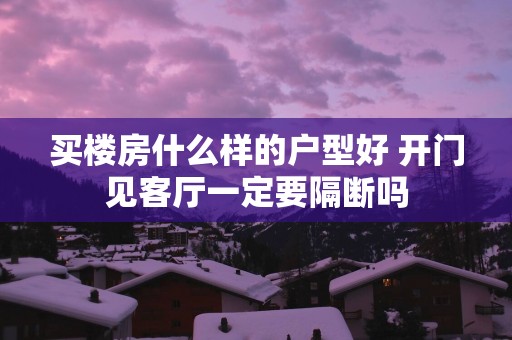 买楼房什么样的户型好 开门见客厅一定要隔断吗