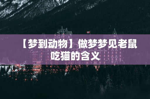 【梦到动物】做梦梦见老鼠吃猫的含义