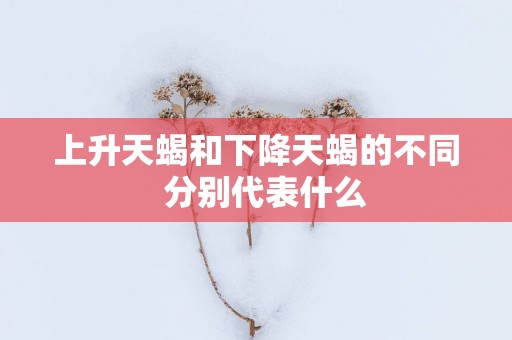 上升天蝎和下降天蝎的不同  分别代表什么