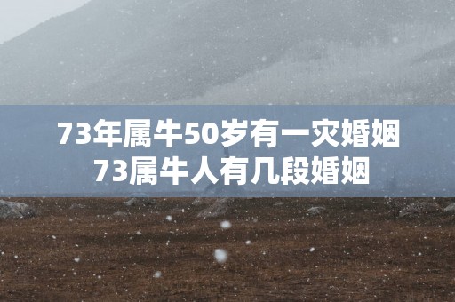 73年属牛50岁有一灾婚姻 73属牛人有几段婚姻