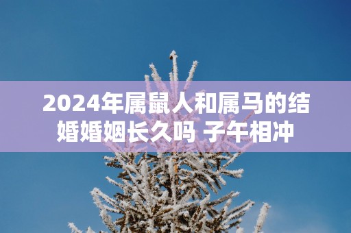 2025年属鼠人和属马的结婚婚姻长久吗 子午相冲
