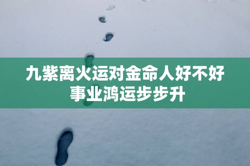 九紫离火运对金命人好不好 事业鸿运步步升
