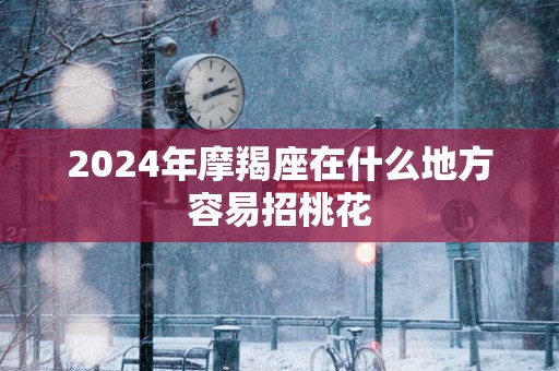 2025年摩羯座在什么地方容易招桃花