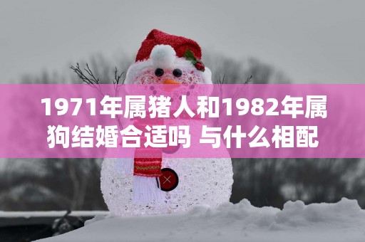 1971年属猪人和1982年属狗结婚合适吗 与什么相配
