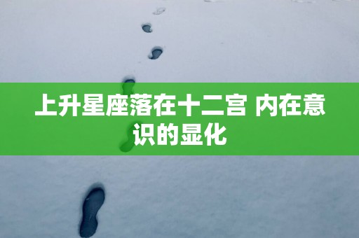 上升星座落在十二宫 内在意识的显化