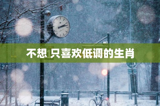 不想 只喜欢低调的生肖