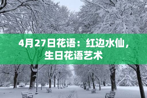 4月27日花语：红边水仙，生日花语艺术