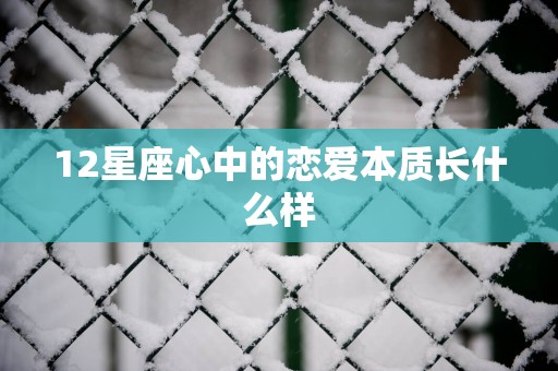 12星座心中的恋爱本质长什么样
