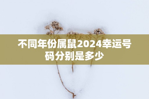 不同年份属鼠2025幸运号码分别是多少