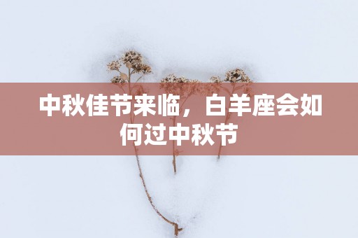 中秋佳节来临，白羊座会如何过中秋节