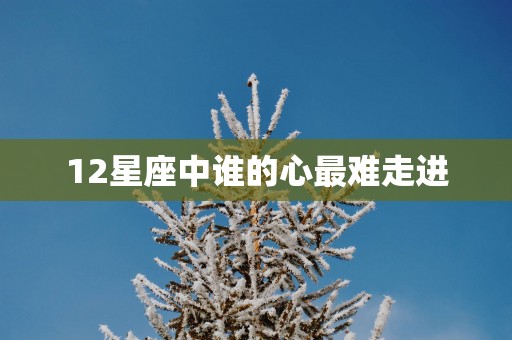 12星座中谁的心最难走进