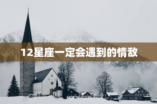 12星座一定会遇到的情敌