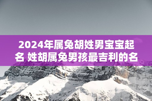 2025年属兔胡姓男宝宝起名 姓胡属兔男孩最吉利的名字