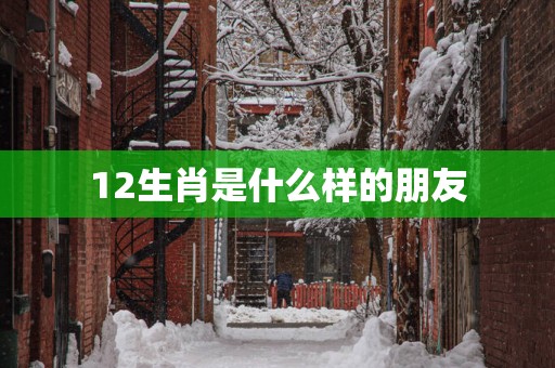 12生肖是什么样的朋友