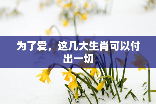 为了爱，这几大生肖可以付出一切