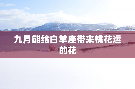 九月能给白羊座带来桃花运的花