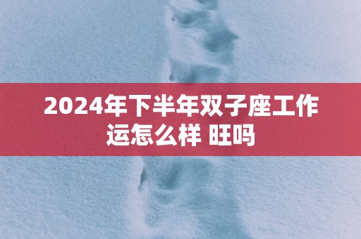 2025年下半年双子座工作运怎么样 旺吗