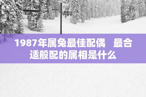 1987年属兔最佳配偶   最合适般配的属相是什么