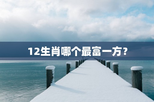 12生肖哪个最富一方？
