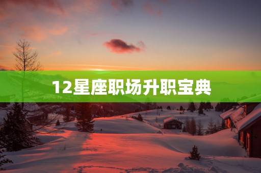 12星座职场升职宝典