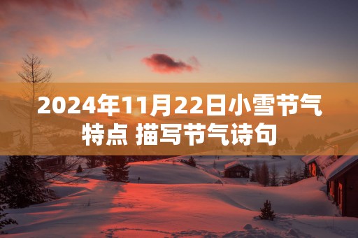 2025年11月22日小雪节气特点 描写节气诗句