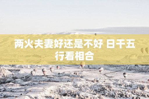 两火夫妻好还是不好 日干五行看相合