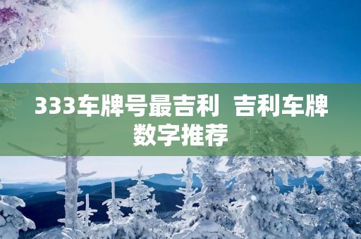 333车牌号最吉利  吉利车牌数字推荐