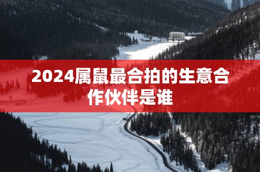 2025属鼠最合拍的生意合作伙伴是谁