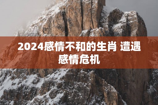 2025感情不和的生肖 遭遇感情危机