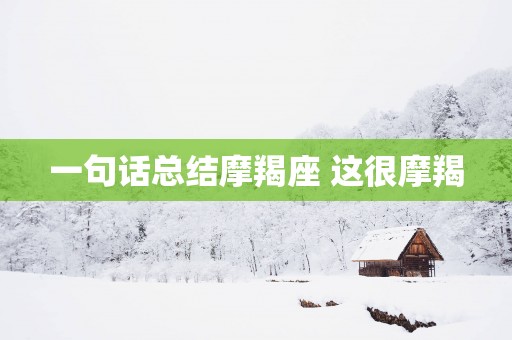 一句话总结摩羯座 这很摩羯