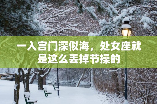 一入宫门深似海，处女座就是这么丢掉节操的