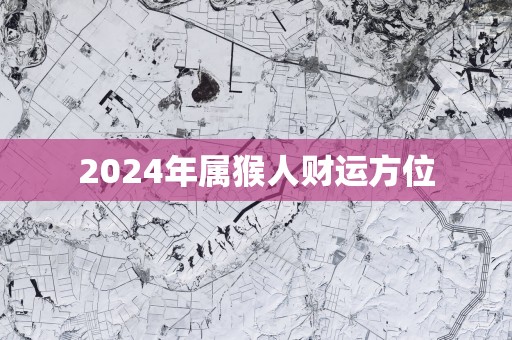 2025年属猴人财运方位