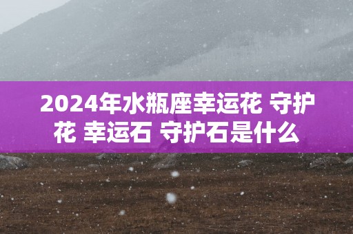 2025年水瓶座幸运花 守护花 幸运石 守护石是什么
