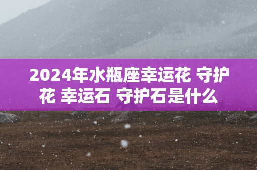 2024年水瓶座幸运花 守护花 幸运石 守护石是什么