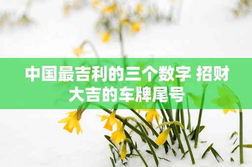 中国最吉利的三个数字 招财大吉的车牌尾号