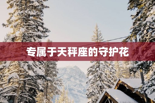 专属于天秤座的守护花