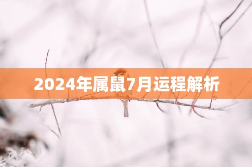 2025年属鼠7月运程解析