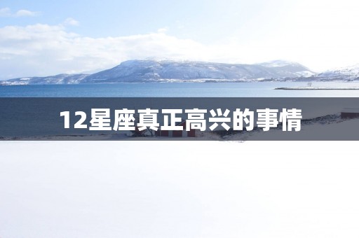 12星座真正高兴的事情