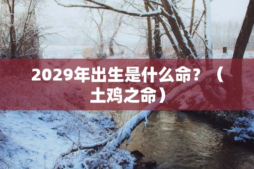 2029年出生是什么命？（土鸡之命）