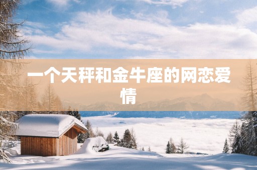一个天秤和金牛座的网恋爱情