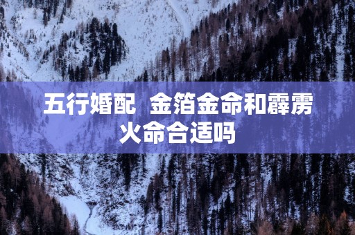 五行婚配  金箔金命和霹雳火命合适吗