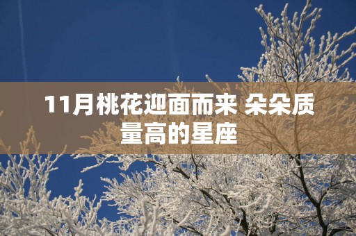 11月桃花迎面而来 朵朵质量高的星座