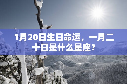 1月20日生日命运，一月二十日是什么星座？
