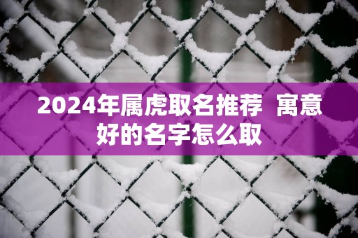 2025年属虎取名推荐  寓意好的名字怎么取